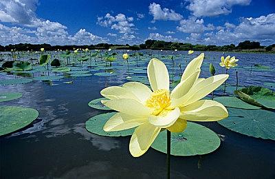 《圣剑传说》PC版D加密系统已被SE移除