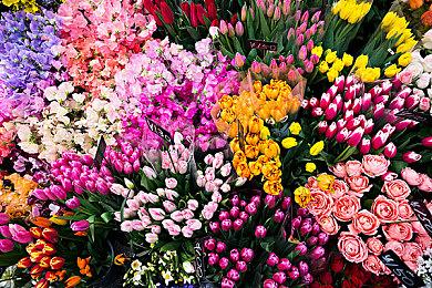 《星刃》早期动捕视频欣赏 果然还是男人更懂女人